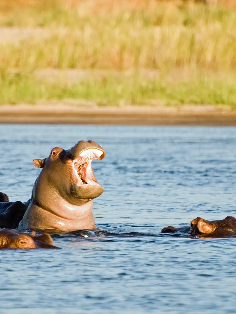 Lodge- und Campingsafari durch Malawi und Sambia